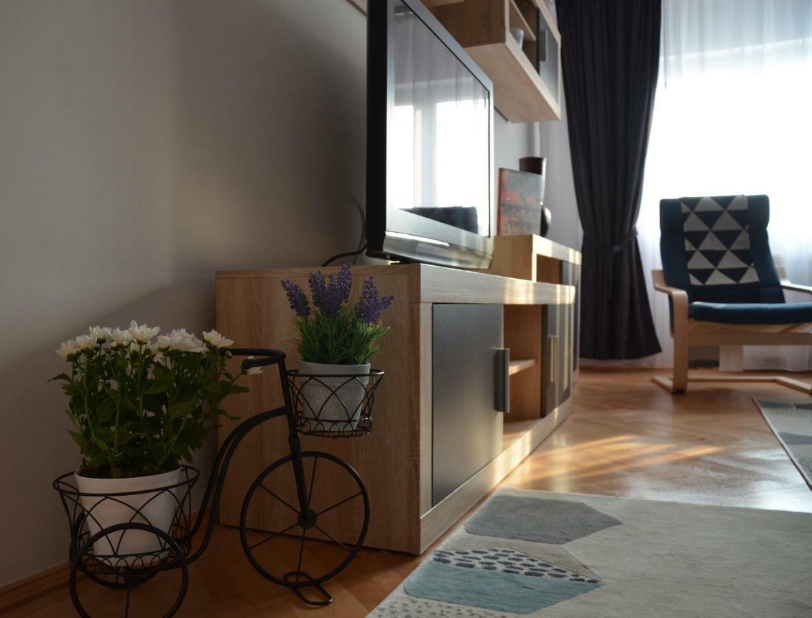 Modern And Cozy Apartment 皮特什蒂 外观 照片