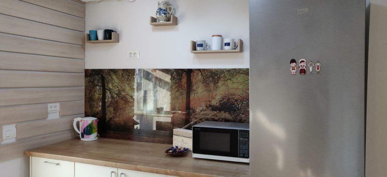 Modern And Cozy Apartment 皮特什蒂 外观 照片