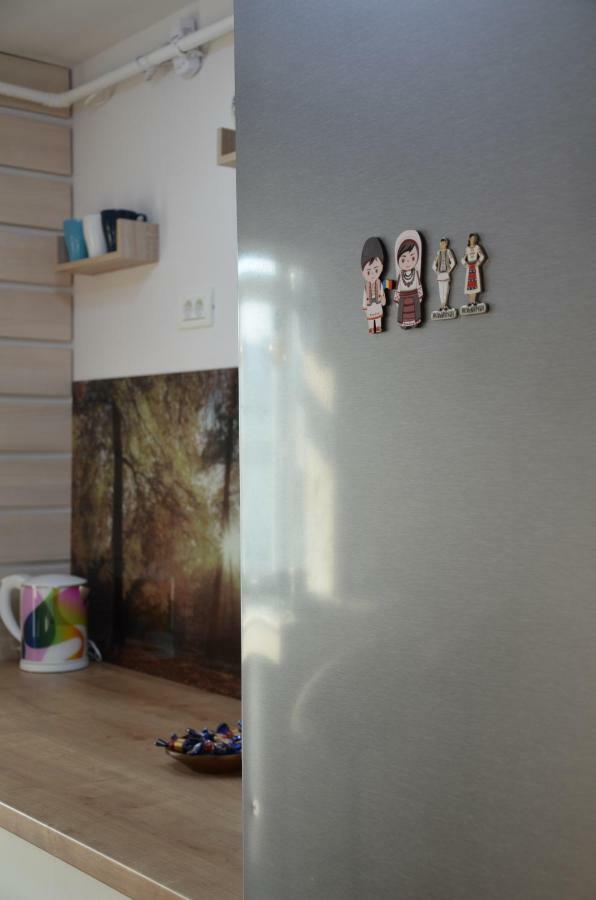 Modern And Cozy Apartment 皮特什蒂 外观 照片